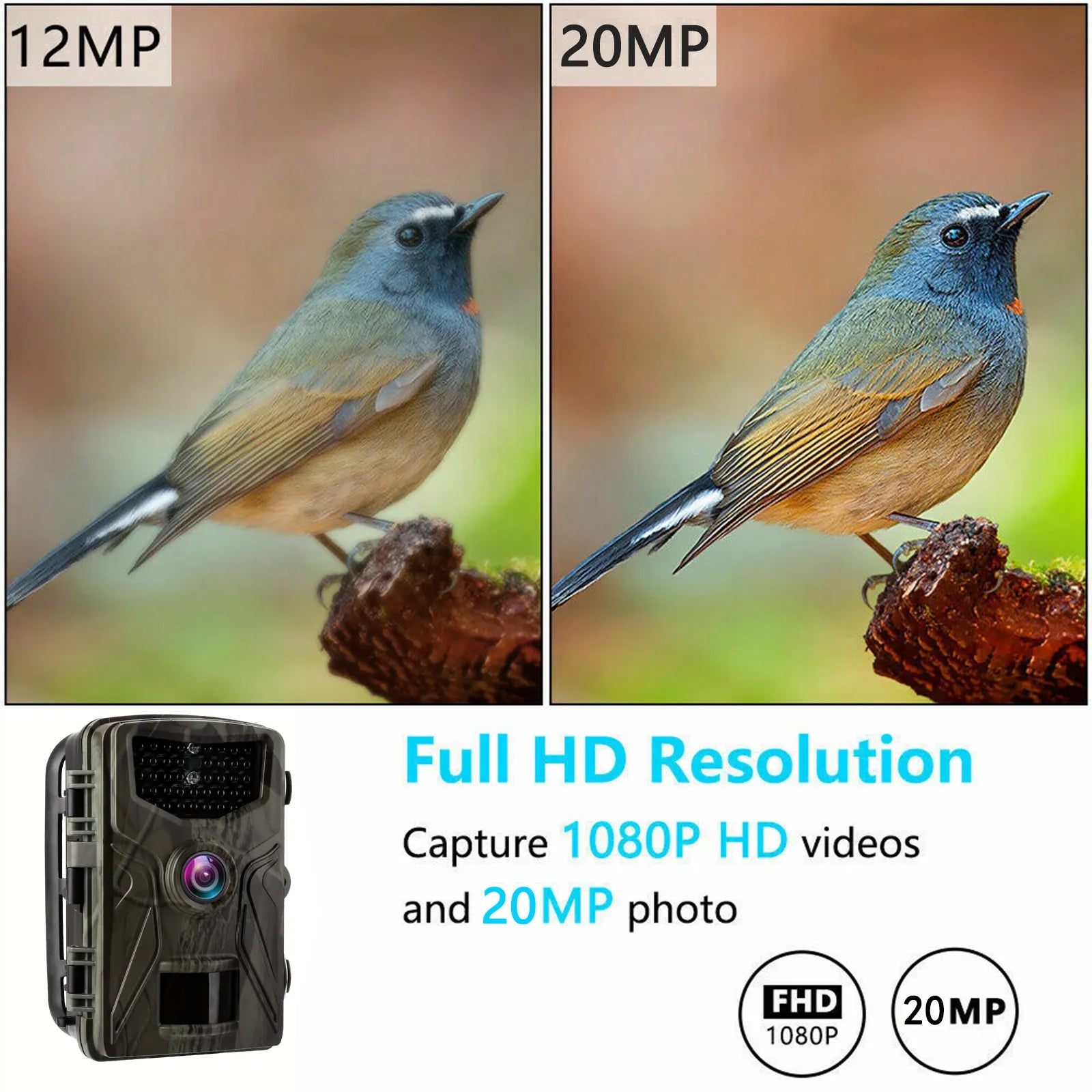 Flayboard™ SD Card Trail Camera | 20 MP